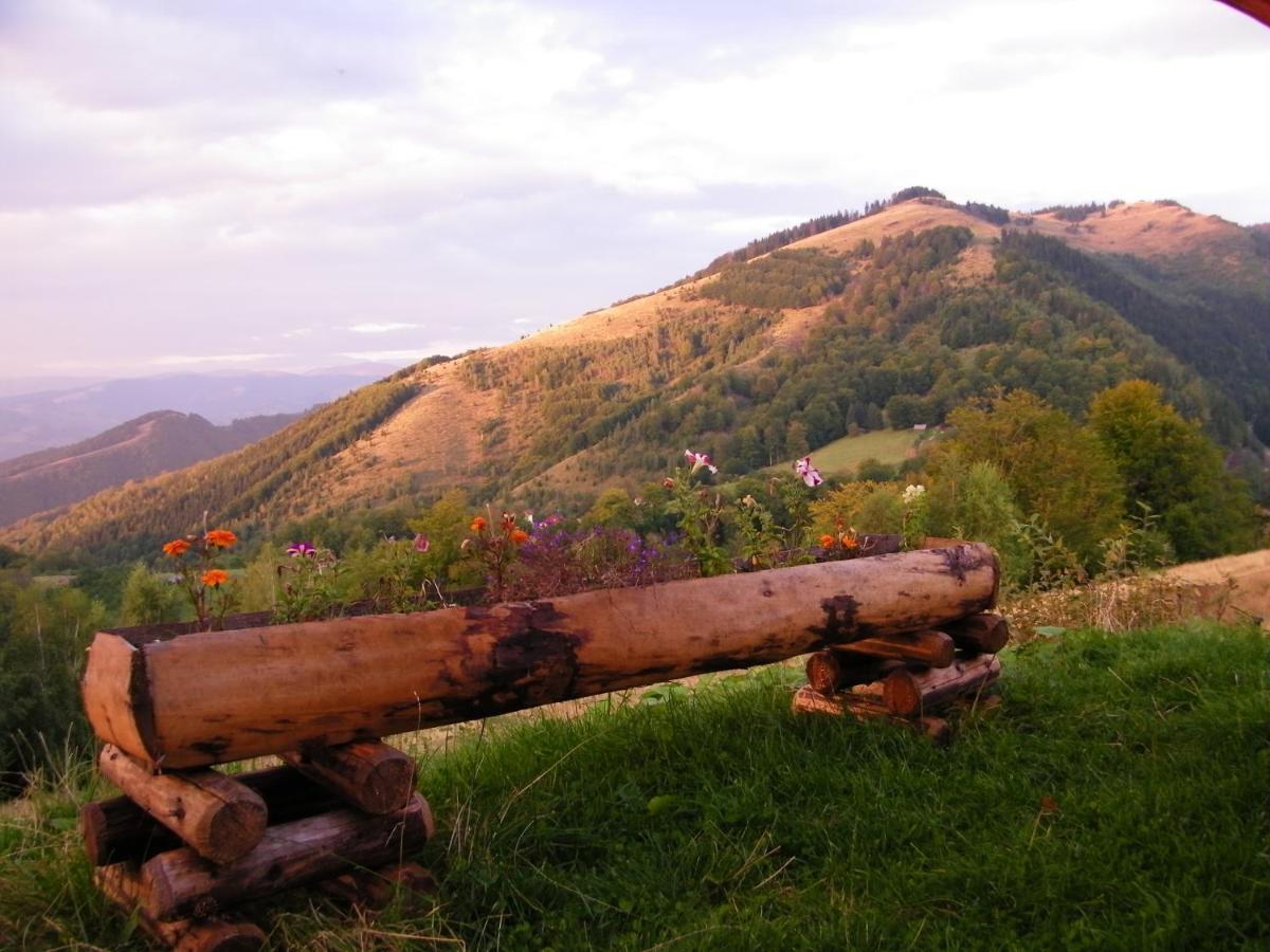 Pensiunea Bujor De Munte Petroşani Exterior foto